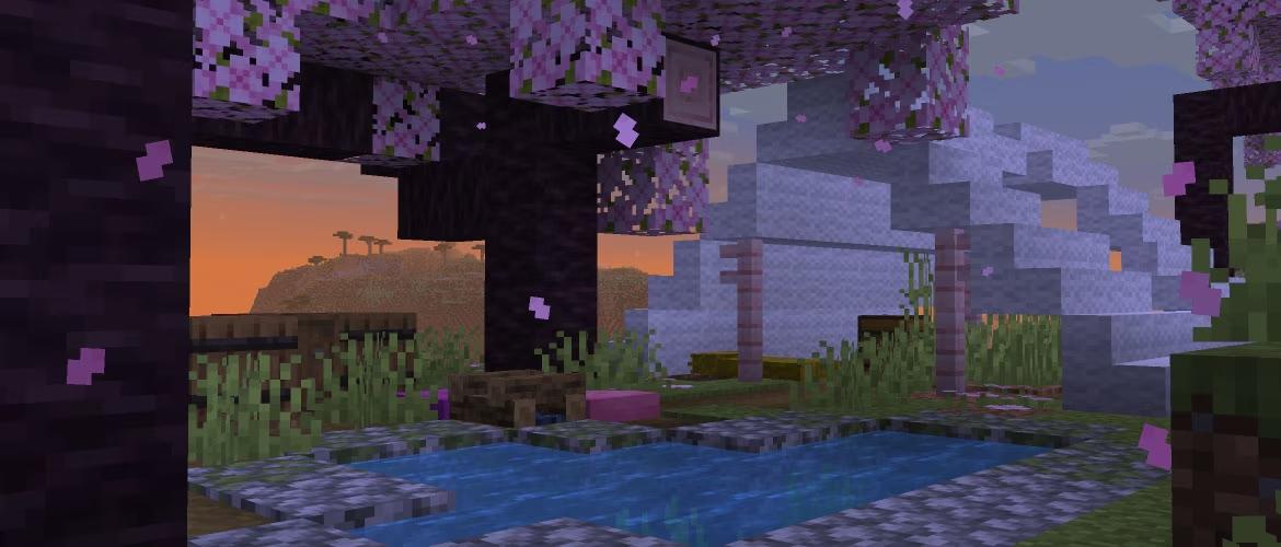 26.3 Snapshot 6