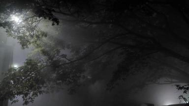 Foggy night