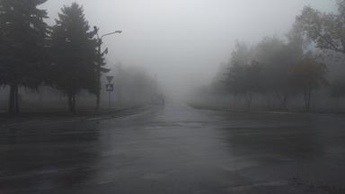 The foggy road