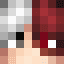 Pro1_minecraft