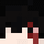Dice_L