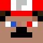 FanMario412