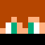 FlapixPlay