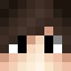dervin_master