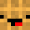 _FacT1k_