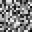 Missing_two