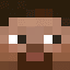 steve209486