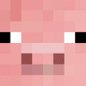 iirshagg