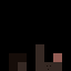 BADsagin