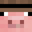 VIP_muha