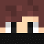 DavAid