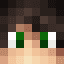 Arser_312
