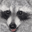 qup1t