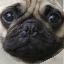 love_mops
