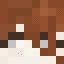 port_vein