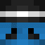 danR_neCheater