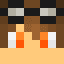 Elaster_Vink