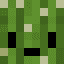 Cactus2111