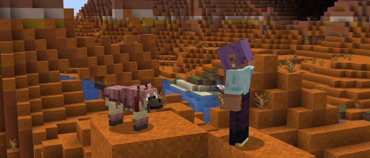 1.20.5 Pre-Release 2