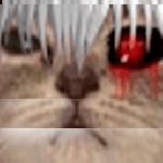 entryxan